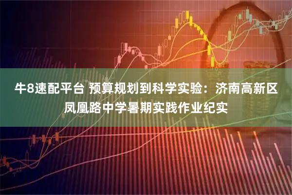 牛8速配平台 预算规划到科学实验：济南高新区凤凰路中学暑期实践作业纪实