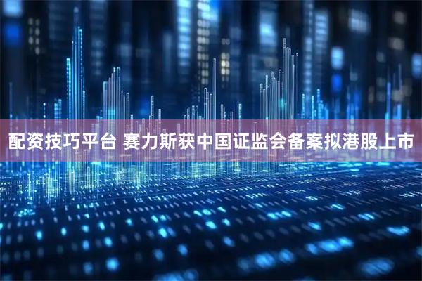 配资技巧平台 赛力斯获中国证监会备案拟港股上市