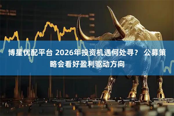 博星优配平台 2026年投资机遇何处寻？ 公募策略会看好盈利驱动方向